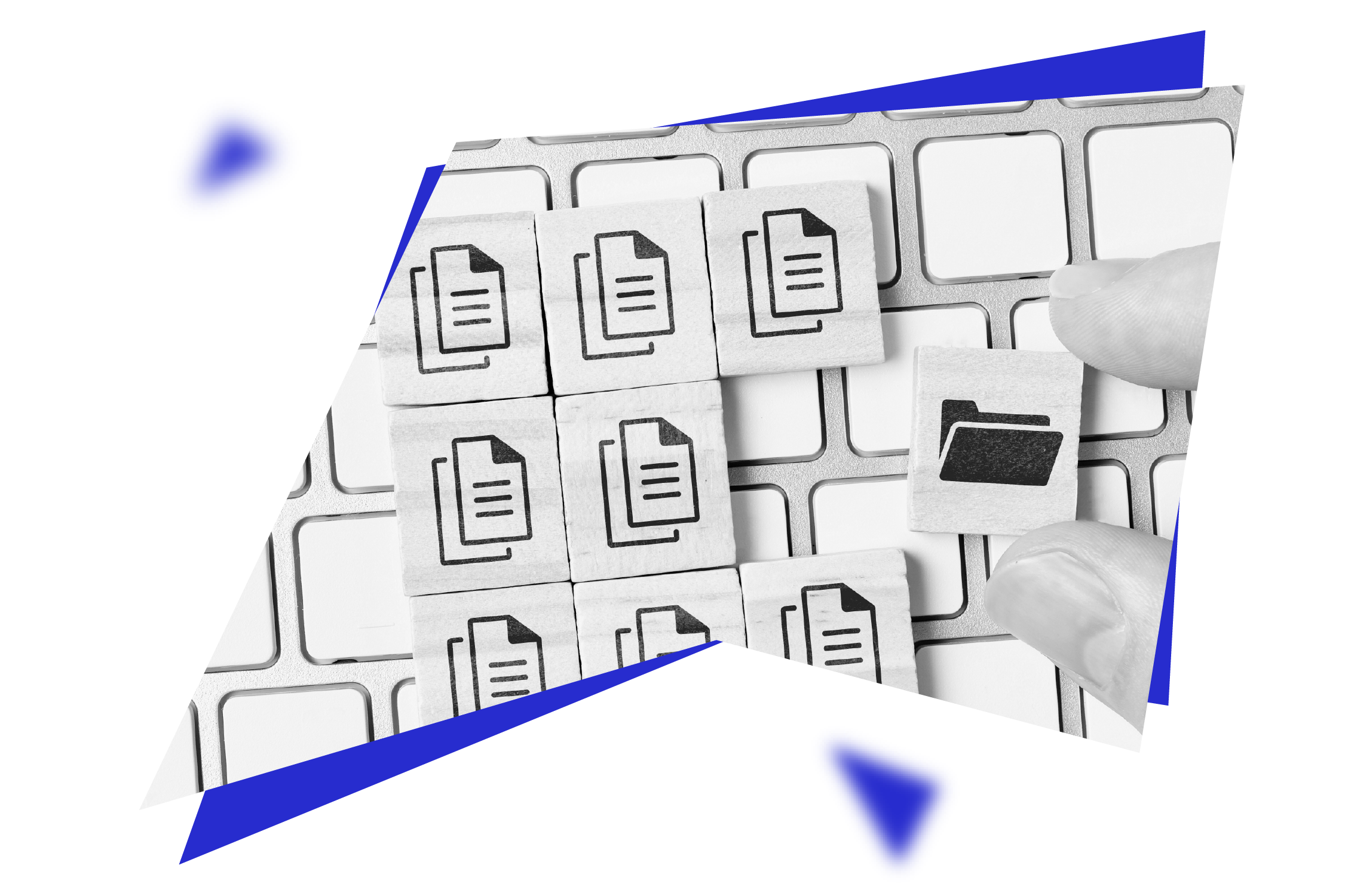 Expertise en Code WordPress et en traitement des ressources avec Wooster