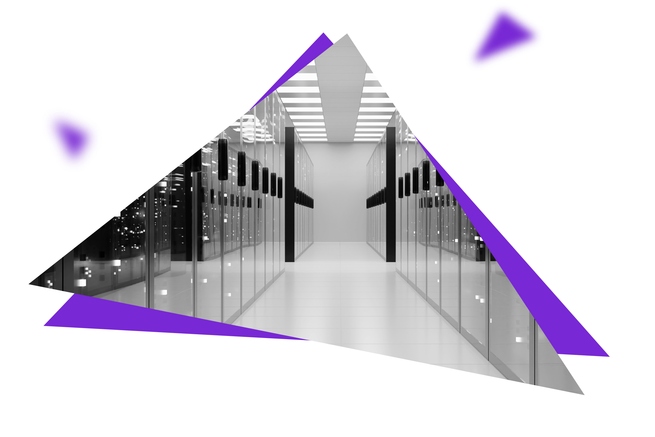 Expertise en Éco-conception WordPress et en hébergements verts​ avec Wooster