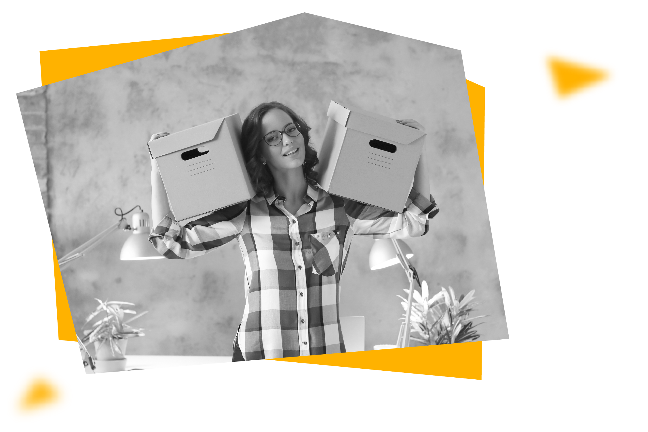 Technologie Laravel et outil de développement WordPress avec Wooster